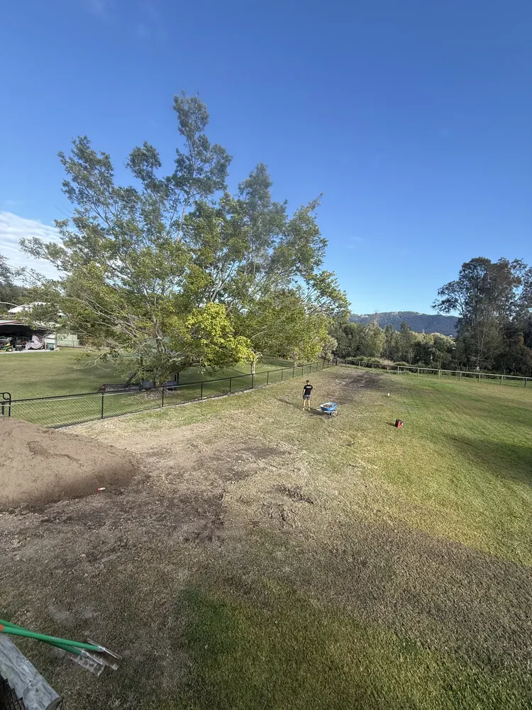 Finished Oxenford yard tidied up and ready for the grass to grow back